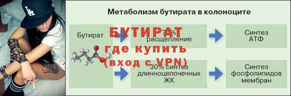 ешки Аркадак