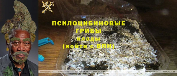 ешки Аркадак