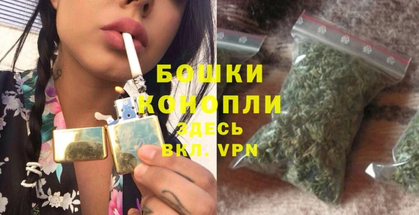 ешки Аркадак